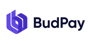 budpay logo